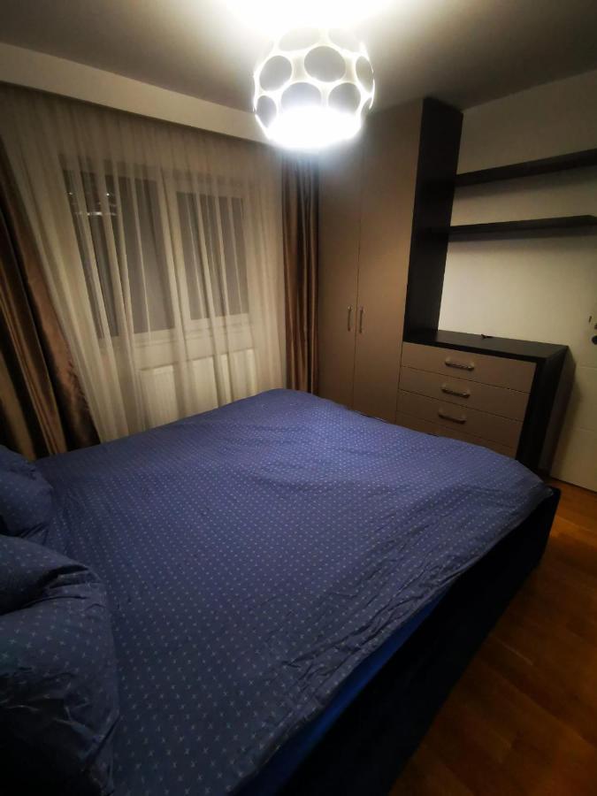 Luxury Apartment. 10 Minutes Taxi Ride To Center ティミショアラ エクステリア 写真