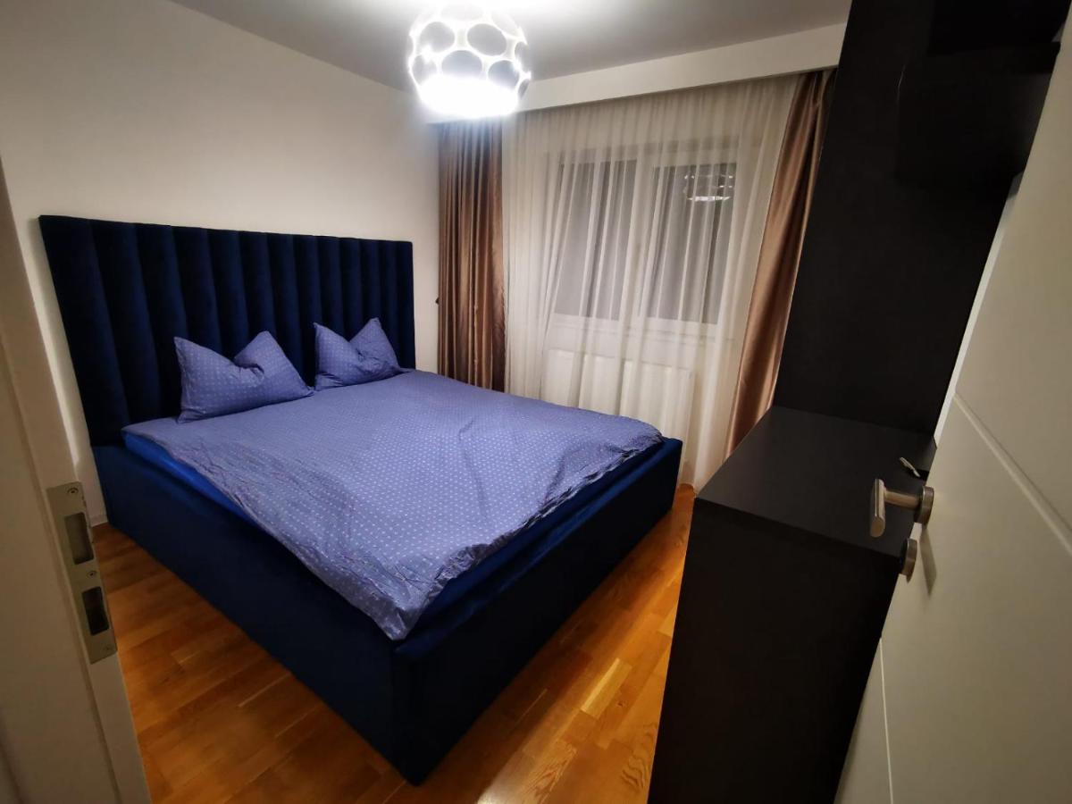 Luxury Apartment. 10 Minutes Taxi Ride To Center ティミショアラ エクステリア 写真
