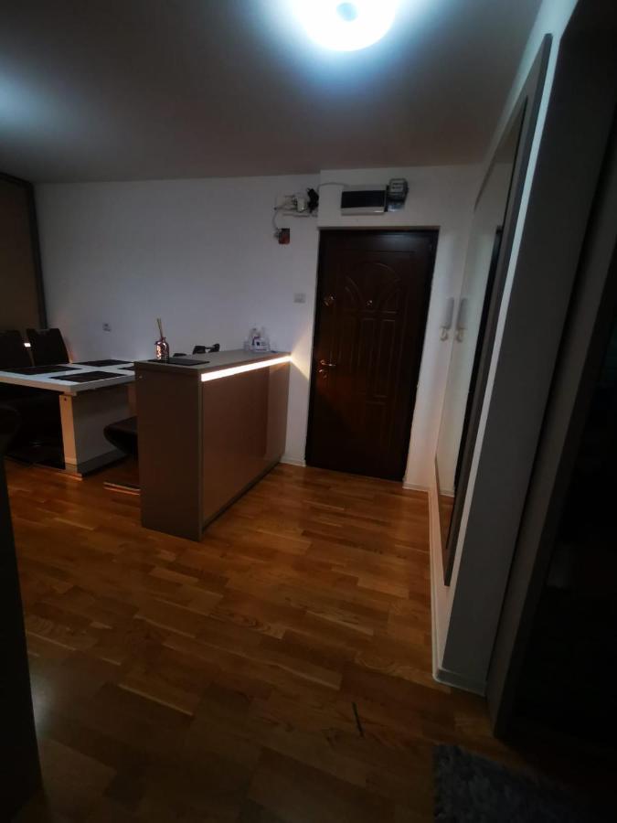 Luxury Apartment. 10 Minutes Taxi Ride To Center ティミショアラ エクステリア 写真