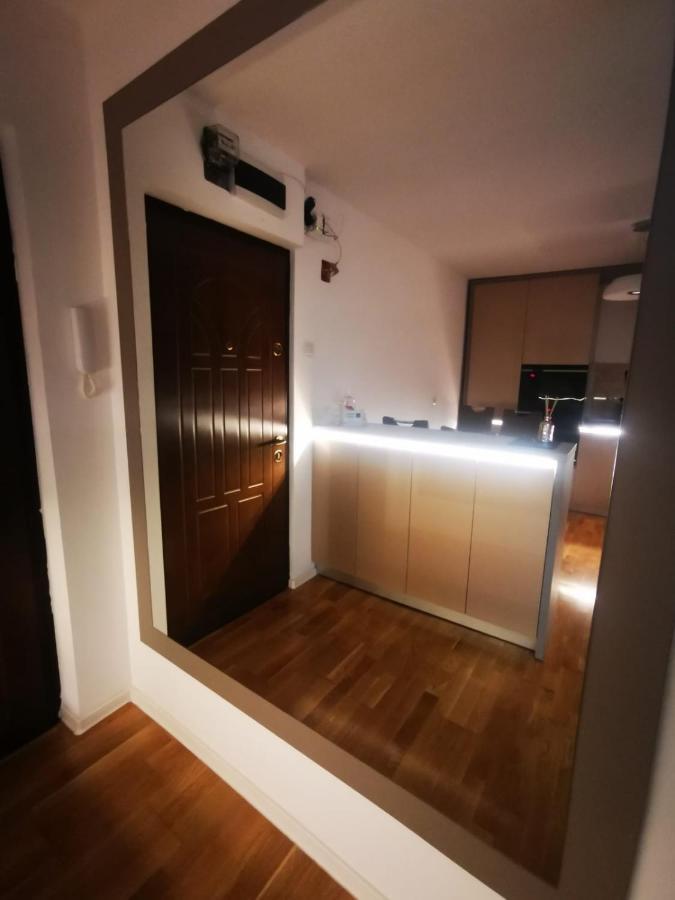 Luxury Apartment. 10 Minutes Taxi Ride To Center ティミショアラ エクステリア 写真